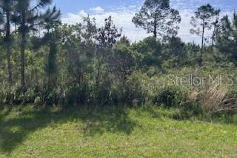 Land in Indian lake estates, Florida № 2159246
