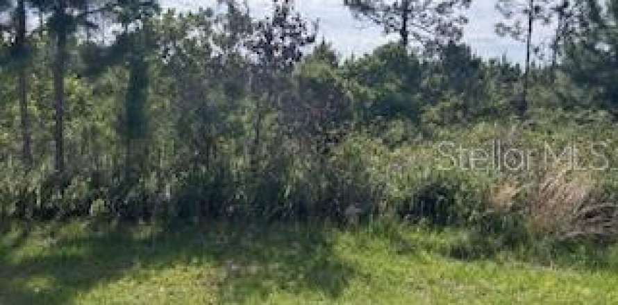 Land in Indian lake estates, Florida № 2159246