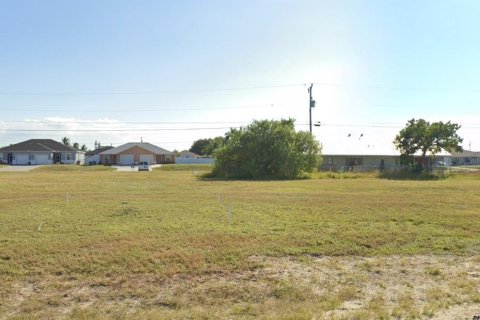 Land in Cape Coral, Florida № 2094454 - photo 10
