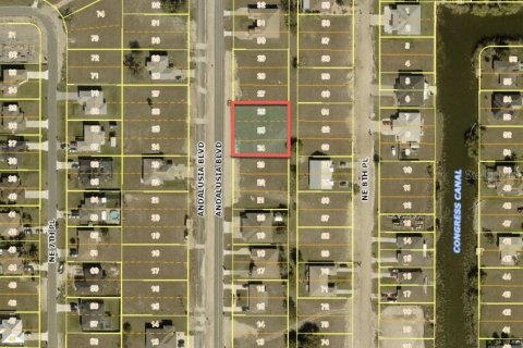 Land in Cape Coral, Florida № 2094454 - photo 13