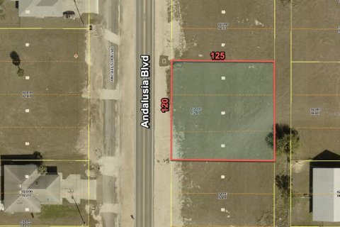 Terrain à Cape Coral, Floride № 2094454