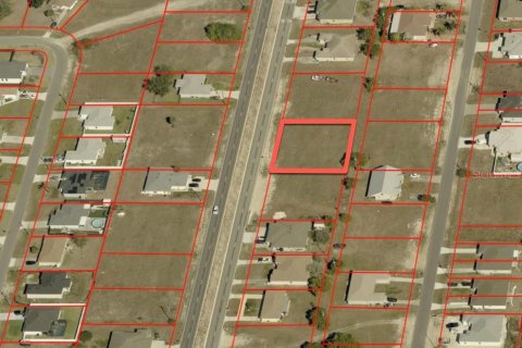 Land in Cape Coral, Florida № 2094454 - photo 11
