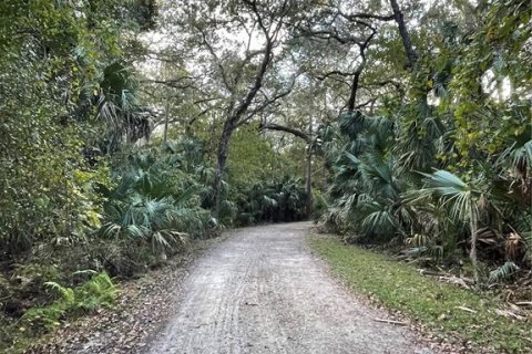 Land in DeLand, Florida № 1732819 - photo 12