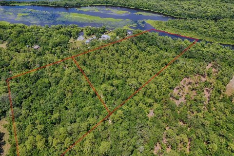 Land in DeLand, Florida № 1732819 - photo 4