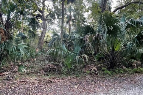 Land in DeLand, Florida № 1732819 - photo 13