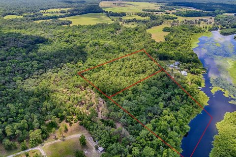 Land in DeLand, Florida № 1732819 - photo 10