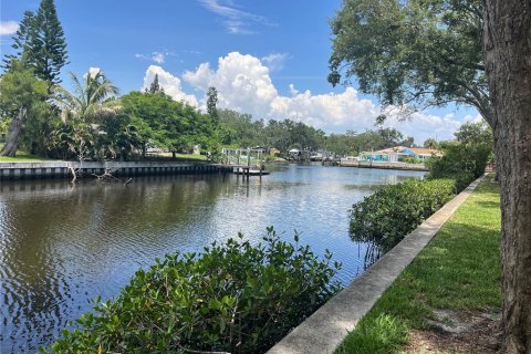 Condo in Tampa, Florida, 1 bedroom  № 2209825 - photo 14