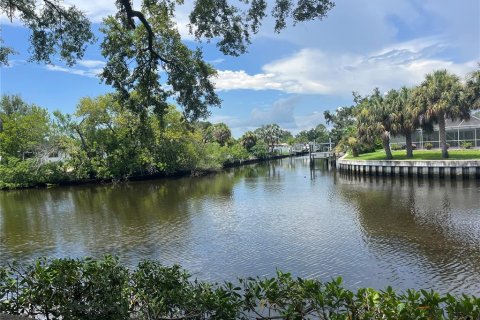 Condo in Tampa, Florida, 1 bedroom  № 2209825 - photo 2