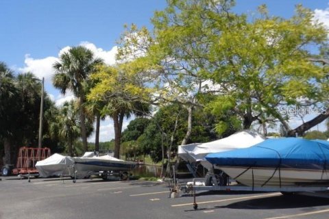 Condo in Tampa, Florida, 1 bedroom  № 2209825 - photo 29