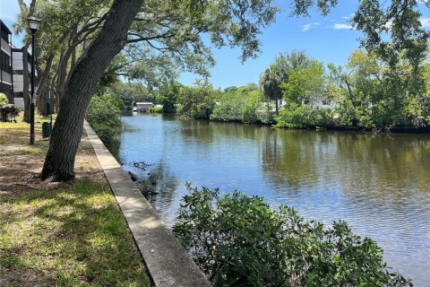 Condo in Tampa, Florida, 1 bedroom  № 2209825 - photo 15
