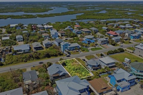 Terreno en venta en New Smyrna Beach, Florida № 2099422 - foto 4