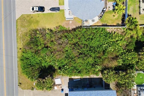 Terreno en venta en New Smyrna Beach, Florida № 2099422 - foto 5
