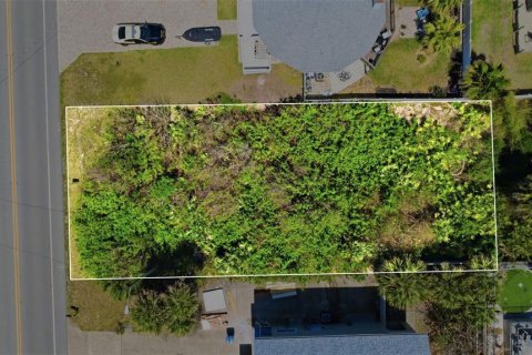Terreno en venta en New Smyrna Beach, Florida № 2099422 - foto 2