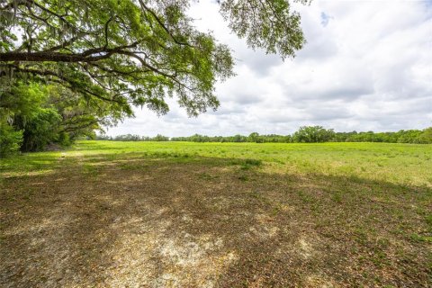 Land in Newberry, Florida № 1616113 - photo 5