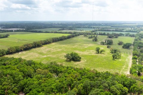 Land in Newberry, Florida № 1616113 - photo 3