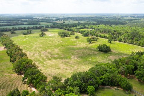 Land in Newberry, Florida № 1616113 - photo 2