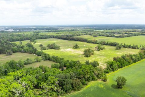 Land in Newberry, Florida № 1616113 - photo 6