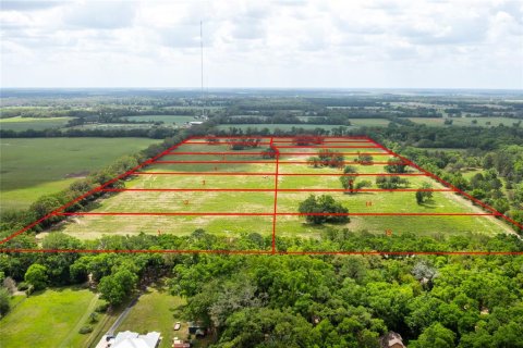 Land in Newberry, Florida № 1616113 - photo 1