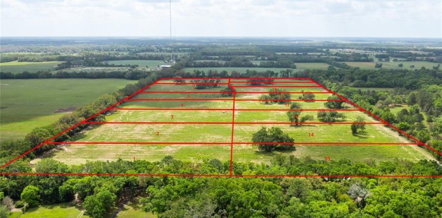 Land in Newberry, Florida № 1616113