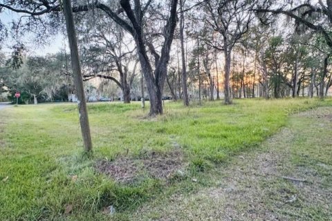 Terrain à Brooksville, Floride № 2109117