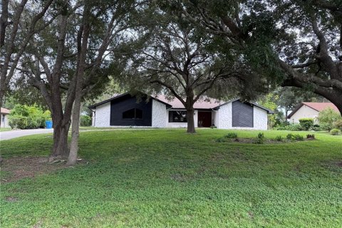 House in Weeki Wachee, Florida 3 bedrooms, 207.26 sq.m. № 1916562 - photo 1