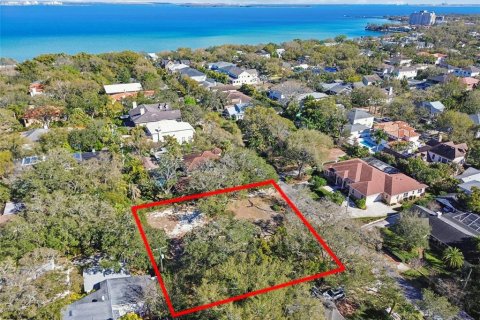 Land in Tampa, Florida № 2235081