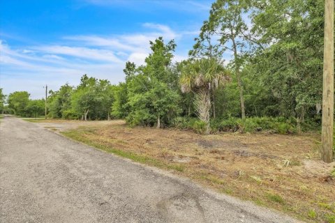Terrain à vendre à Punta Gorda, Floride № 2202999 - photo 4