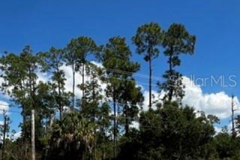 Land in Lehigh Acres, Florida № 2339685