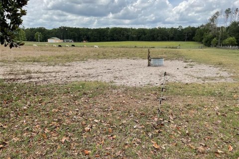Land in Bronson, Florida № 1765874 - photo 5