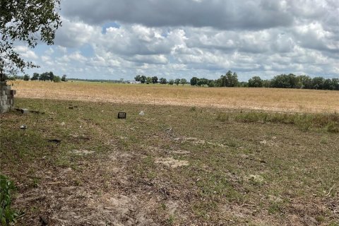 Land in Bronson, Florida № 1765874 - photo 1
