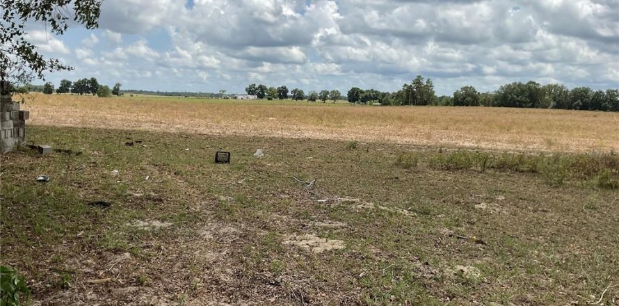 Land in Bronson, Florida № 1765874