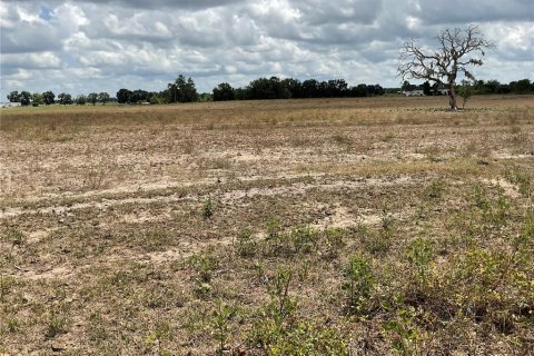 Land in Bronson, Florida № 1765874 - photo 2