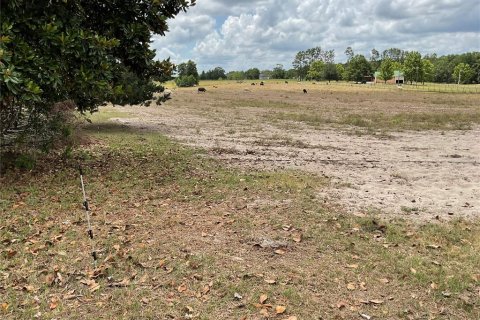 Land in Bronson, Florida № 1765874 - photo 3