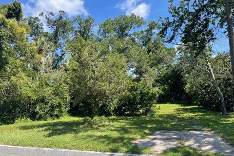 Terreno en venta en Jacksonville, Florida № 771427 - foto 1