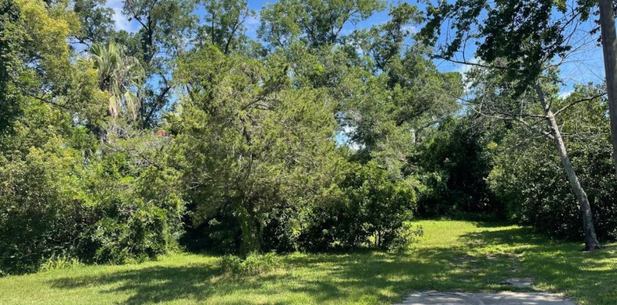 Terreno en Jacksonville, Florida № 771427
