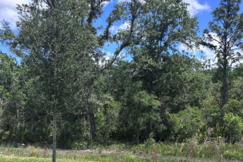 Casa en venta en Spring Hill, Florida, 2 dormitorios, 180.51 m2 № 2116871 - foto 17