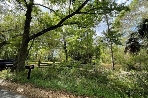 Terreno en venta en Reddick, Florida № 1584152 - foto 18