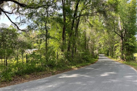 Terreno en venta en Reddick, Florida № 1584152 - foto 23