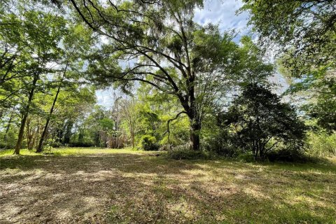Terreno en venta en Reddick, Florida № 1584152 - foto 3