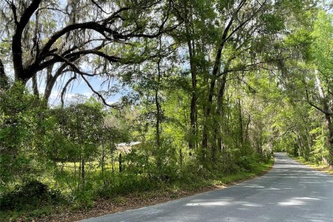 Terreno en venta en Reddick, Florida № 1584152 - foto 22