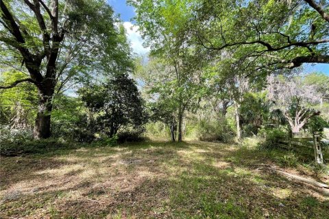 Terreno en venta en Reddick, Florida № 1584152 - foto 6