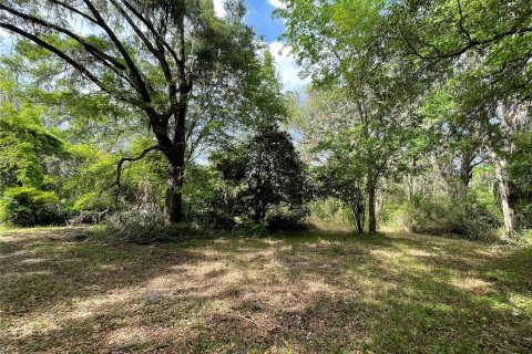 Terreno en venta en Reddick, Florida № 1584152 - foto 2