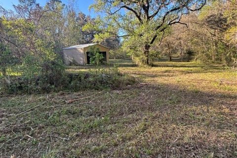 Terreno en venta en Reddick, Florida № 1584152 - foto 1
