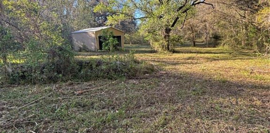 Terrain à Reddick, Floride № 1584152