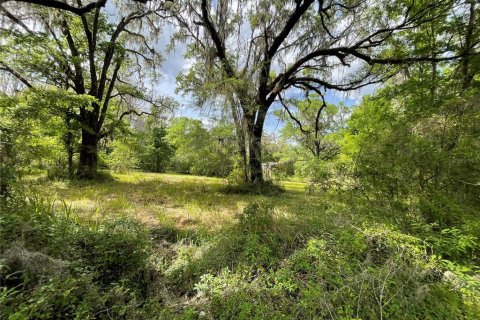 Terreno en venta en Reddick, Florida № 1584152 - foto 27