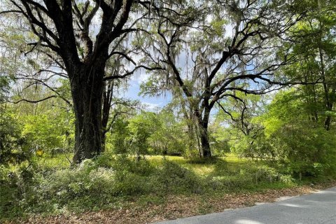 Terreno en venta en Reddick, Florida № 1584152 - foto 19