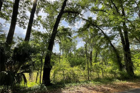 Terreno en venta en Reddick, Florida № 1584152 - foto 12