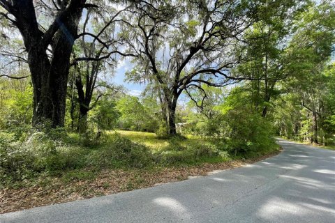 Terreno en venta en Reddick, Florida № 1584152 - foto 20