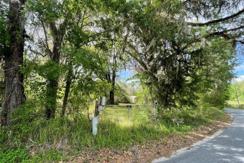 Terreno en venta en Reddick, Florida № 1584152 - foto 9