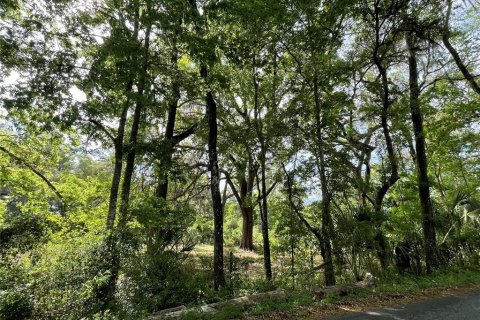 Terreno en venta en Reddick, Florida № 1584152 - foto 11